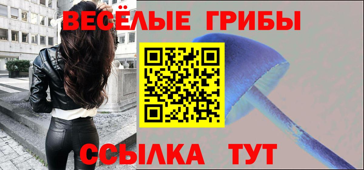 Псилоцибиновые грибы MAGIC MUSHROOMS Ишимбай