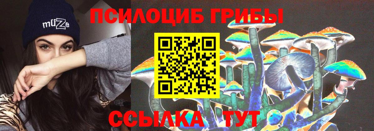 купить  цена  Псилоцибиновые грибы мухоморы  Ишимбай  Вход с VPN  Галлюциногенные грибы прущие грибы 